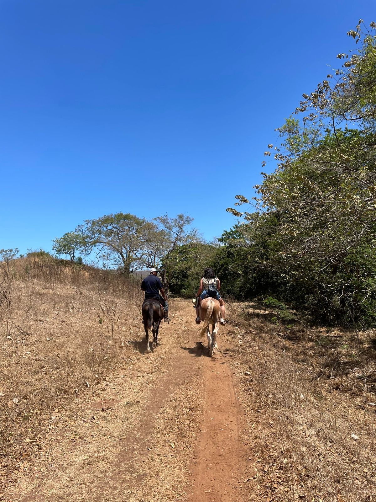 WhatsApp Image 2025 11 26 at 14.04.47