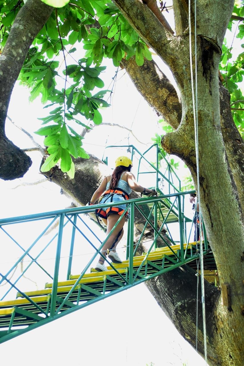 Canopy tour