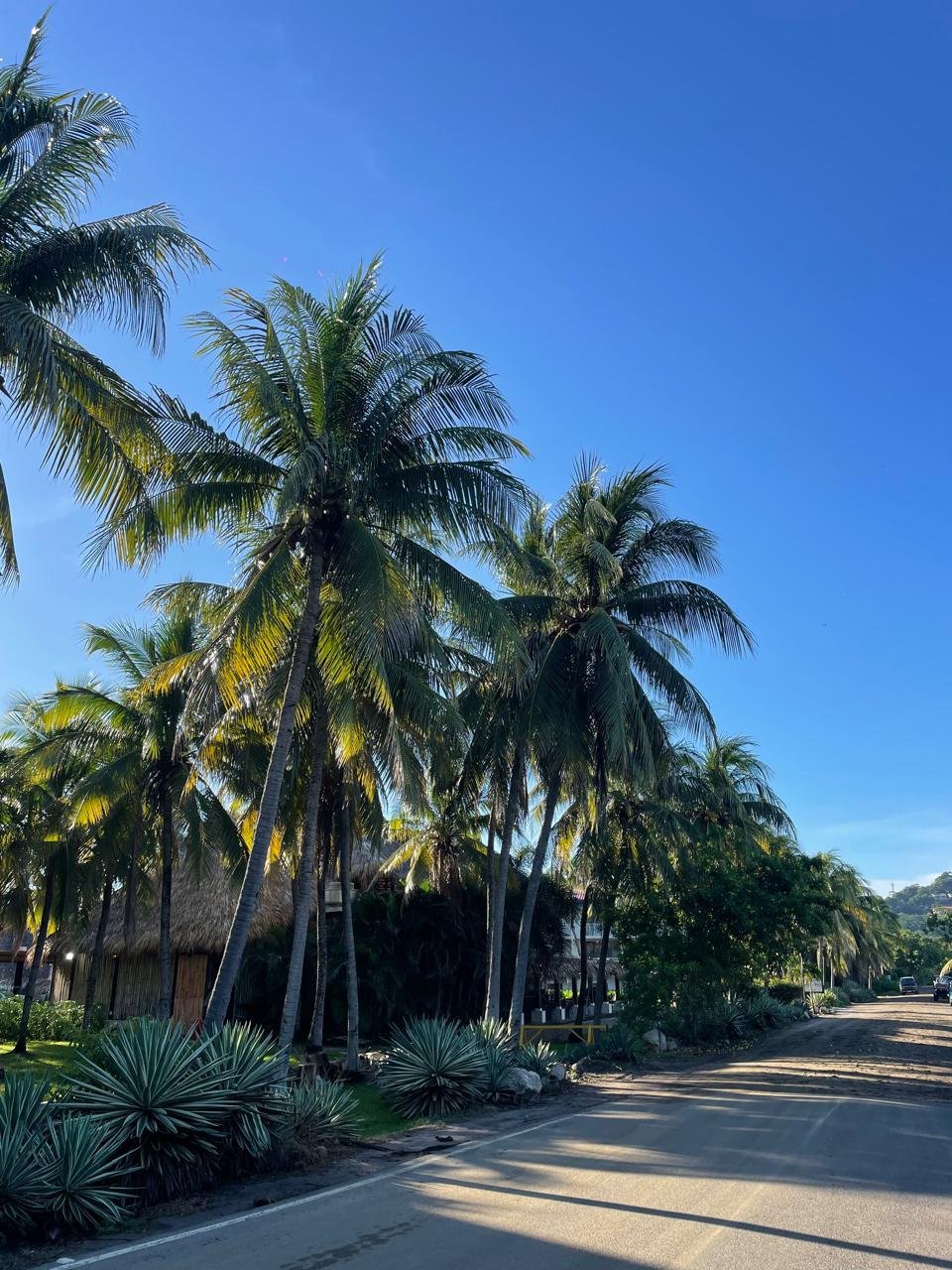 WhatsApp Image 2025 11 02 at 15.09.12