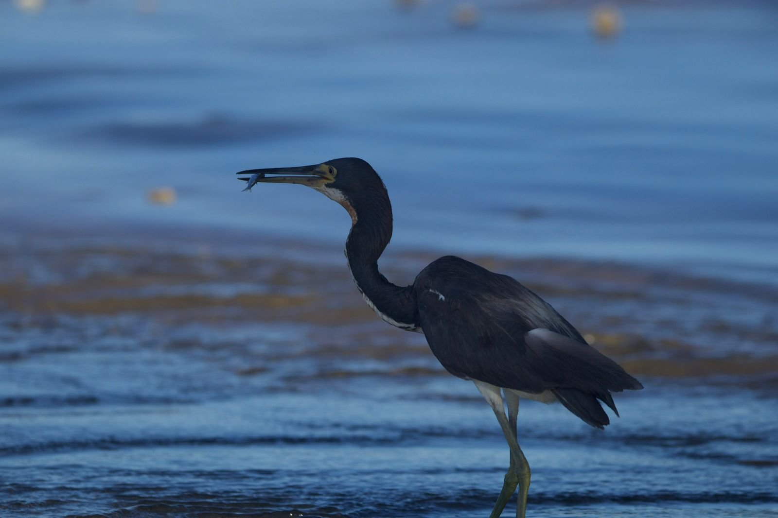 WhatsApp Image 2025 11 05 at 14.13.01 1