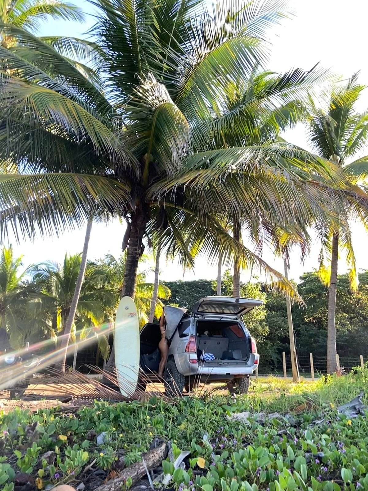 WhatsApp Image 2025 11 05 at 14.17.18 1