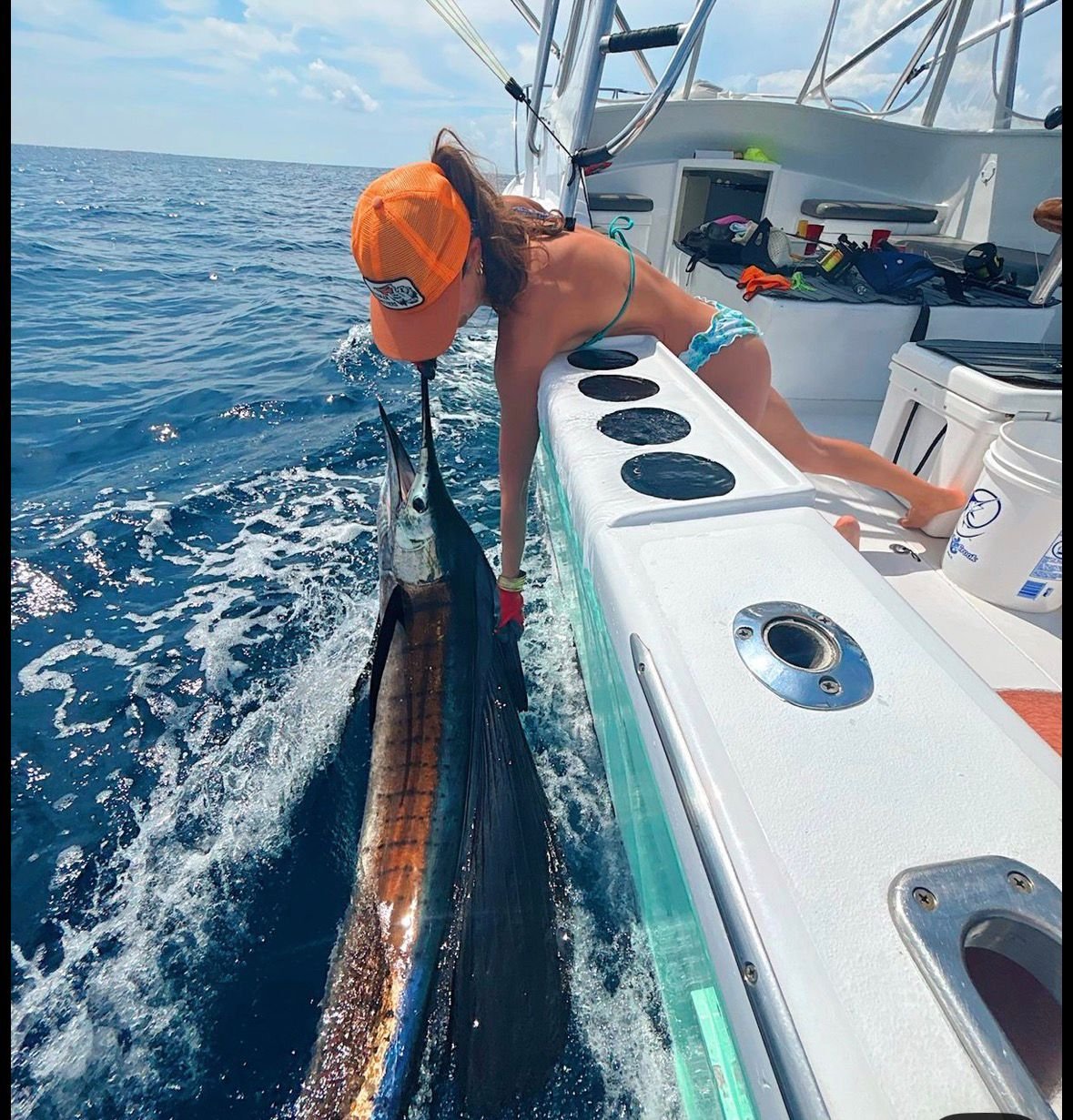 WhatsApp Image 2025 11 25 at 15.10.36