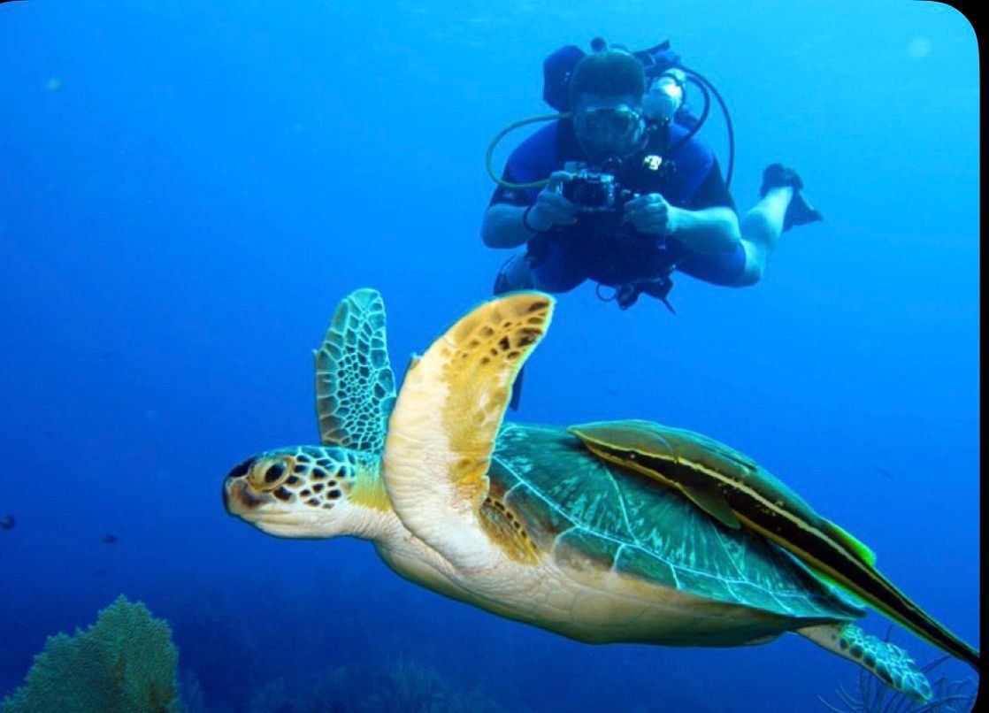 b1ea55a0 a42b 4d0c b162 f6248dbb5a8e